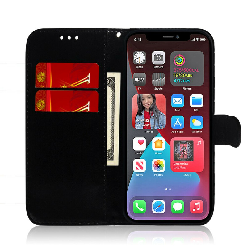 Cover iPhone 13 Pro Simili Cuir Couverture Miroir