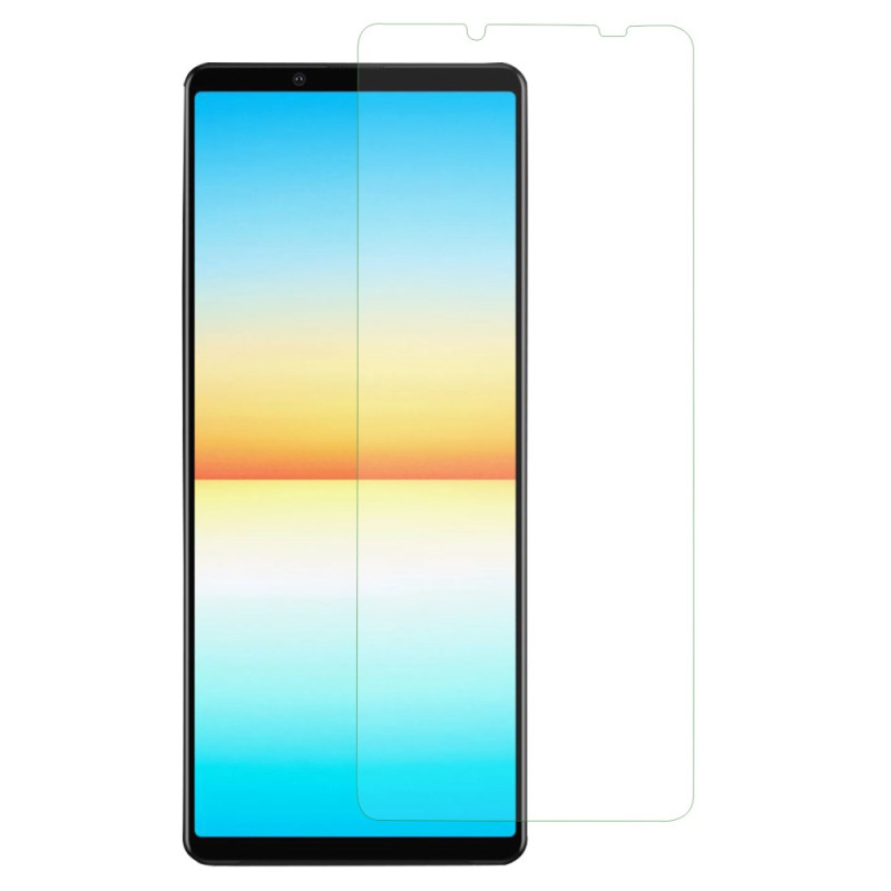 Tempered glass screen protector Sony Xperia 10 V