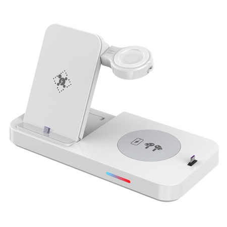Multi-Device Charging Station