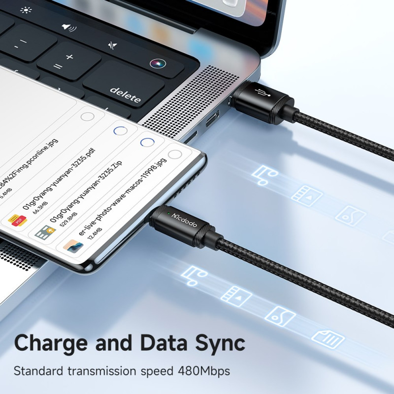 USB-C á USB-C Câble | Chargement Rapide Standard