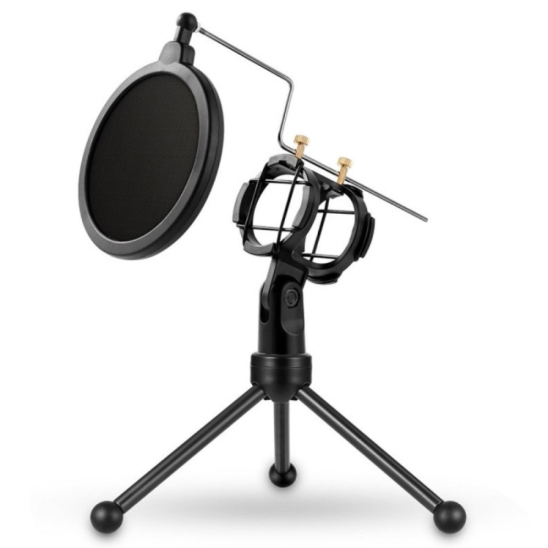 Portable microphone with pop filter and shock mount YANMAI