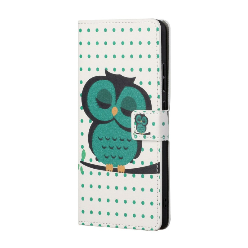 Google Pixel 8A Sleeping Owl Case