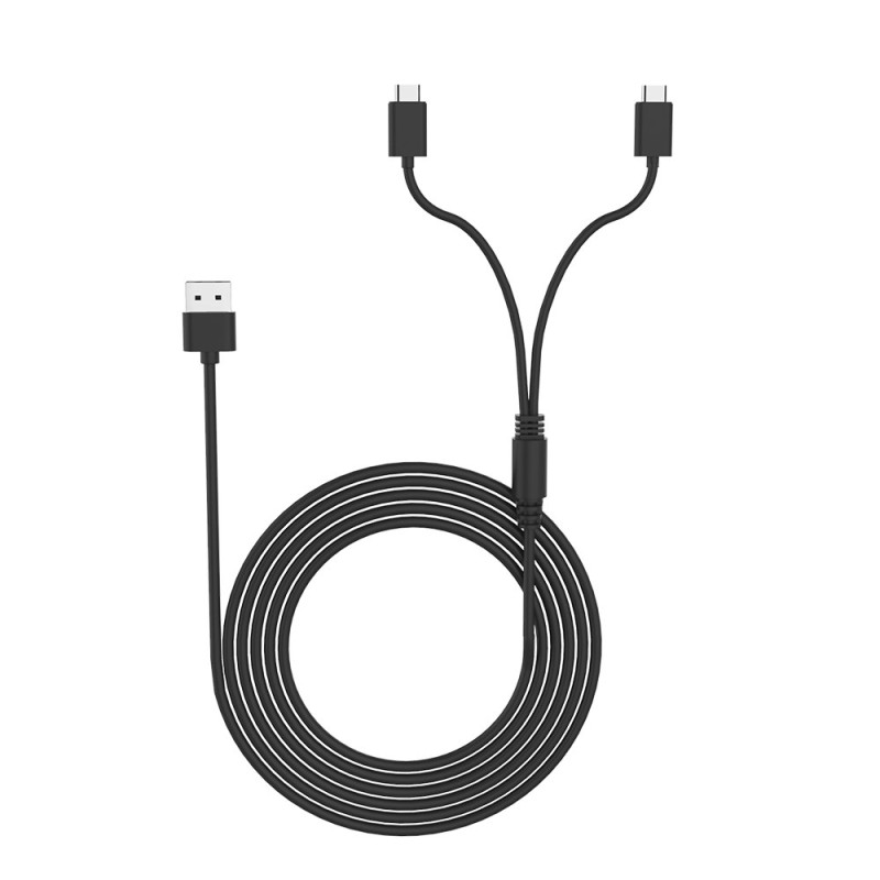 Dual Head Charging Cable for Nintendo Switch