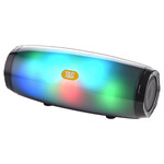 Bluetooth Wireless Speaker V5.0 Colorful LED Light