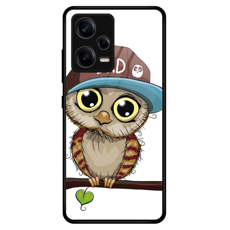 Xiaomi Redmi Note 12 Pro Custodia in vetro temperato Bad Owl