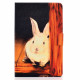 Huawei MatePad New Rabbit Case