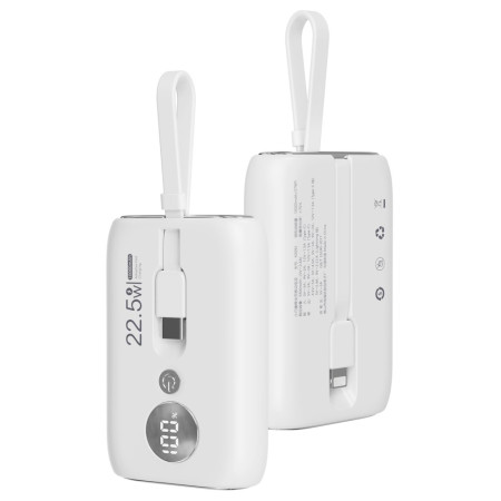 ROISKIN 10000mAh externt...